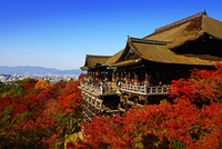 京都府 清水寺 紅葉 の写真素材 イラスト素材 アマナイメージズ