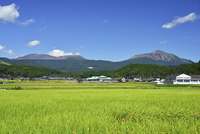 絵画、初夏の韓国岳から見た霧島の山、F10号、佐原聖春 22995000560.jpg