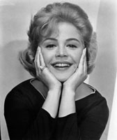 サンドラディーの写真素材 ストックフォト アマナイメージズ