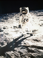 23018048876.jpg