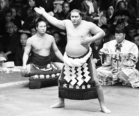 横綱大鵬の土俵入り[23023004481]の写真・イラスト素材｜アマナイメージズ