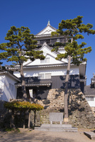 岡崎城[25053012869]の写真・イラスト素材｜アマナイメージズ