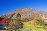 風景画　黒姫山　額縁入り ブランド公式通販サイト 風景画 絵画 額縁入り 黒姫山 絵画 - 絵画
