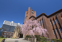水彩画 東京大学　安田講堂　　SHO 水彩画 東京大学安田講堂SHO