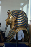 25283005460.jpg