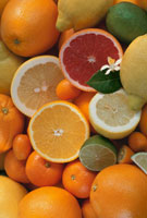 グレープフルーツ・ライム・レモン・オレンジ　セット 157386942-still-life-of-citrus