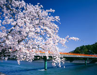 （真作）飛騨川の朝霧橋 photo1jpg.jpg?w=200&h=-1&s=1