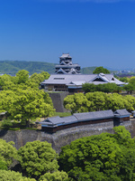 新緑の熊本城 本丸御殿大広間と天守閣[25516041725]の写真・イラスト