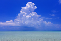 海の風景 25516048702.jpg