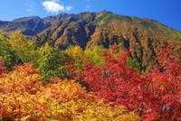 水彩画 キガラシと十勝岳連峰　富良野の自然風景 25516060939.jpg