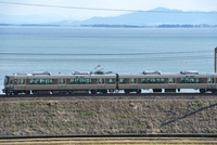 25668002220.jpg
