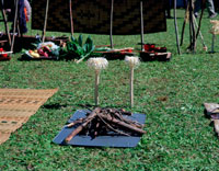 アイヌ民族儀式の祭壇 カムイノミ・イナウ式[25742008018]の写真