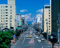 写真アルバム 旭川・上川の昭和 写真アルバム 福岡市の昭和 | 髙橋愼二, 井上哲明, 木野修, 高見