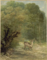 26004016896.jpg