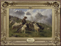 26004017291.jpg