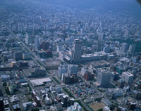 26058003291.jpg