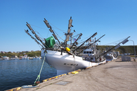 ◇美品◇漁船と港の風景◇２５ cm×３ cm◇ ◇ 2168＞漁船｜ストラクチャーキット｜Nゲージ鉄道模型のグリーンマックス