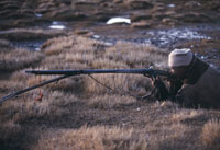 火縄銃を使った狩猟 の写真素材 イラスト素材 アマナイメージズ