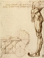 26144000393.jpg