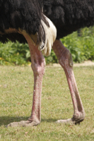 32182007515.jpg