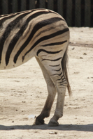 32182010415.jpg