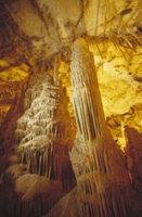 リーマンケーブの石筍（鍾乳洞の床にできた石灰質の石）と鍾乳石