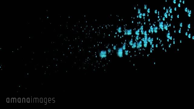 モルフォ蝶3 パーティクル 動画素材 映像素材 アマナイメージズ