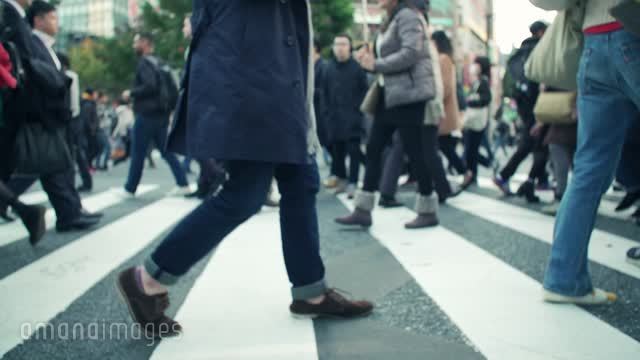 渋谷スクランブル交差点の雑踏 動画素材 映像素材 アマナイメージズ